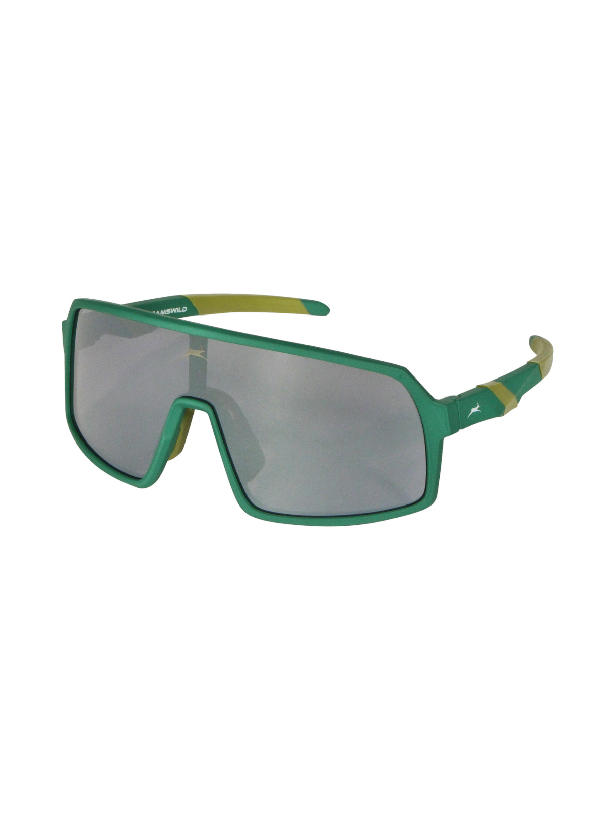 WJ4024 Jugendbrille grün 1
