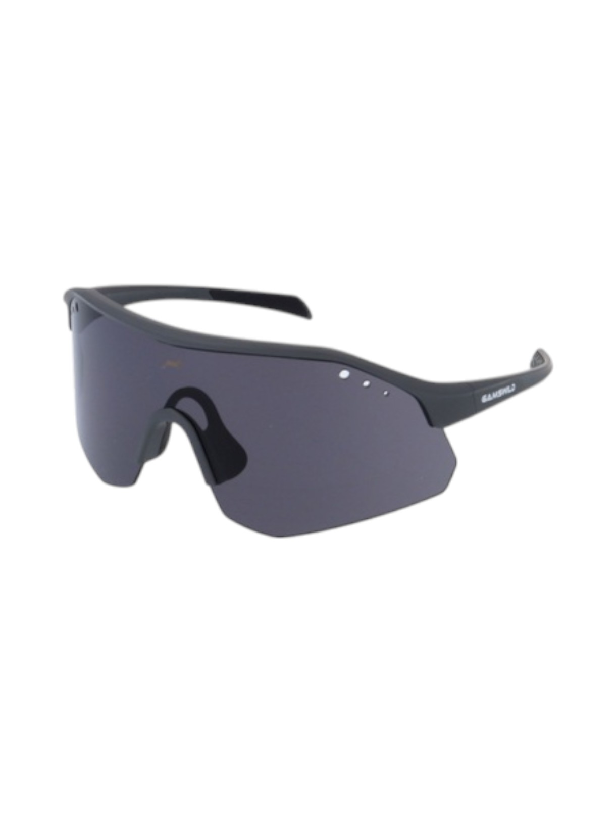 WS2140 Sportbrille 1