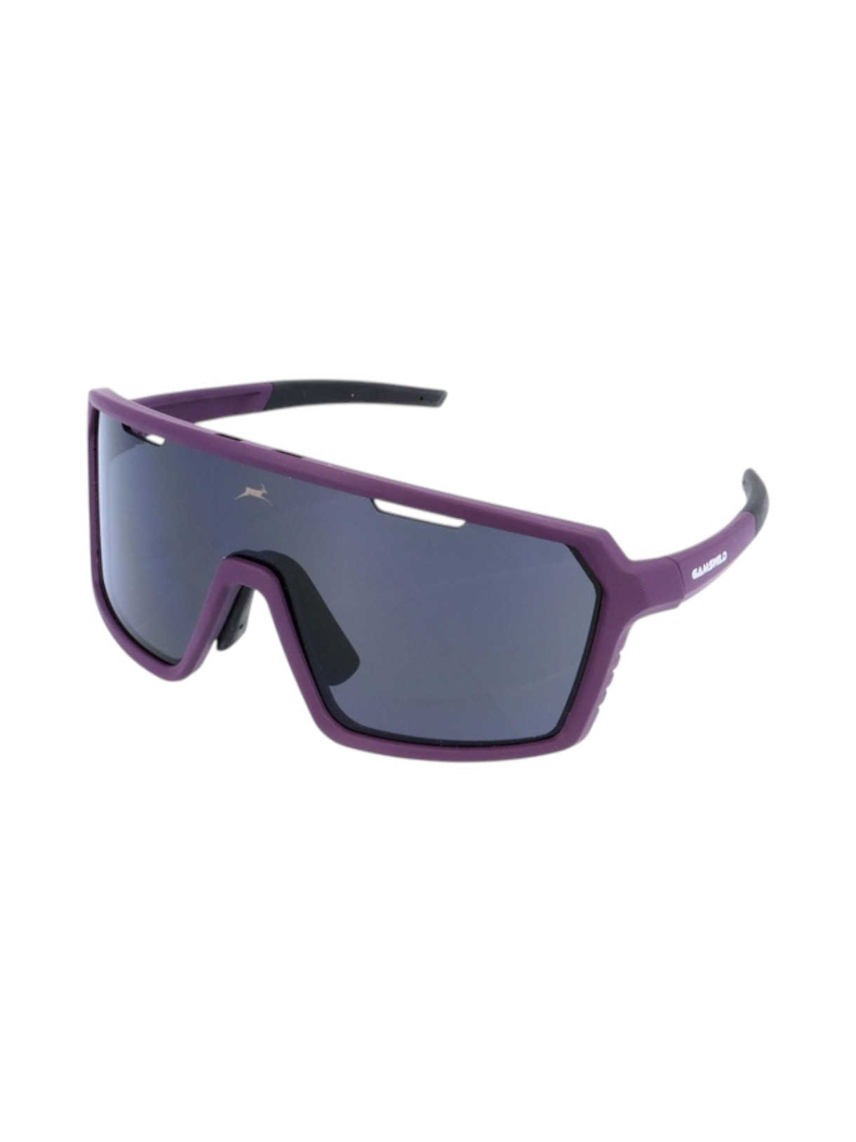 WS2244 Sportbrille 1