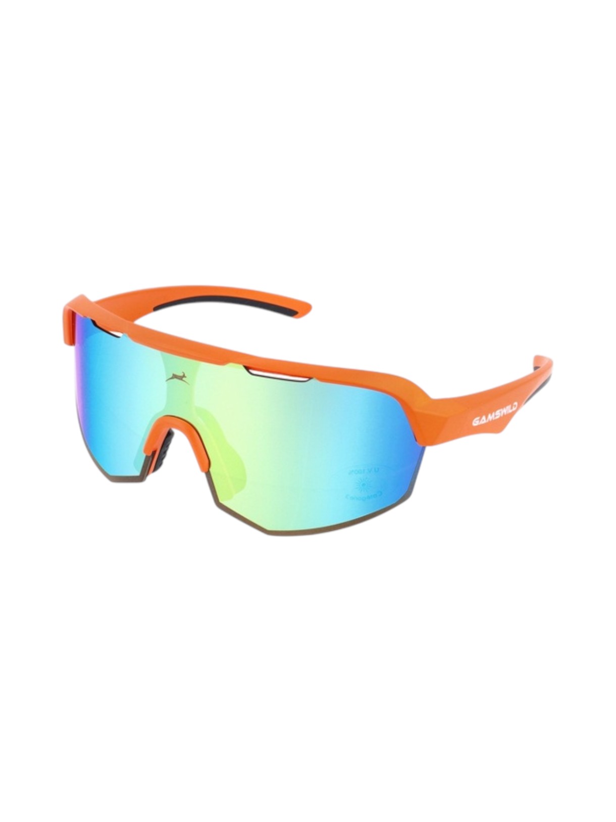 WS7140 Sportbrille 1