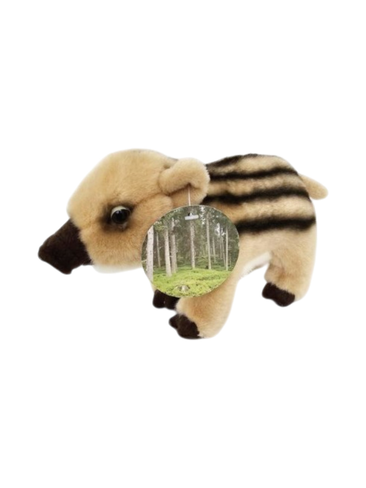 Wildschwein Plüsch 1