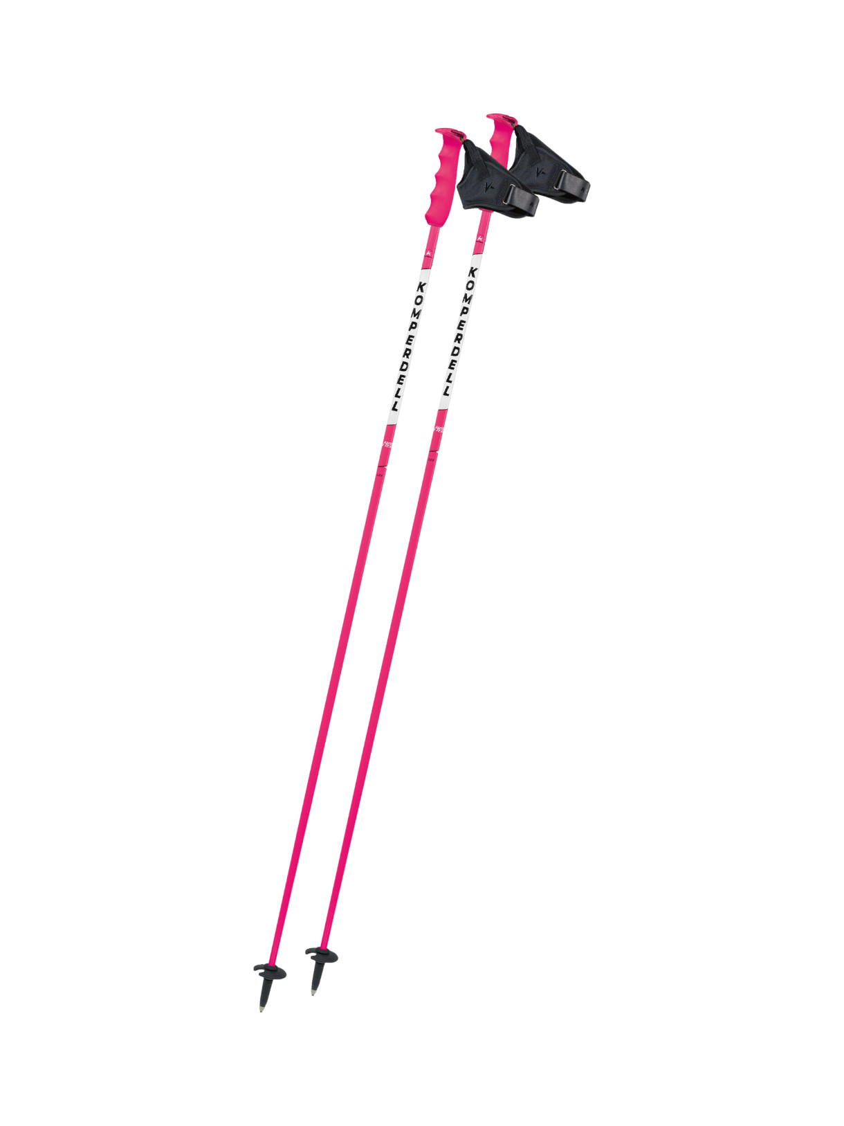 Team Carbon Skistock 1