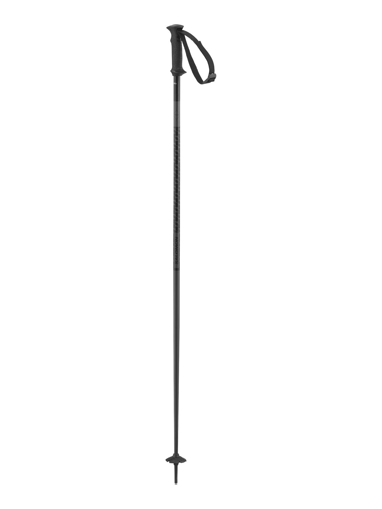 Polar Access Skistöcke 1