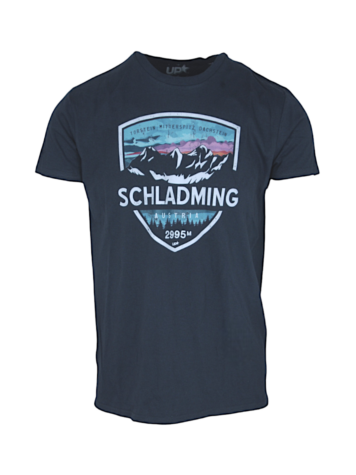 My Mountains 2995 m Herren T-Shirt grau 1
