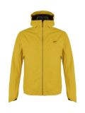 Dk yellow