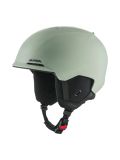willow-green matt
