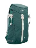 TREK GREEN