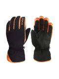 black exotic orange
