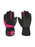 black knockout pink