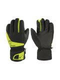 black acid lime