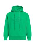 ice green