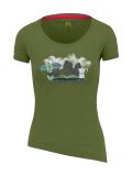 cedar green