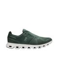 Olive | Evergreen