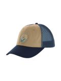 brown/navy