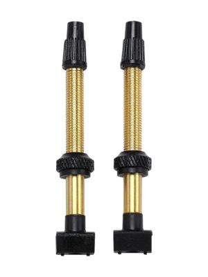 Ventil Tubeless Valves BTI-159 2 St., 60 mm 