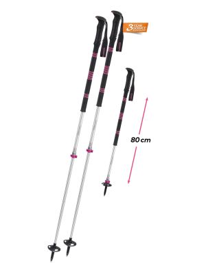 Titanal 2 FOAM Compact Skitourenstöcke 