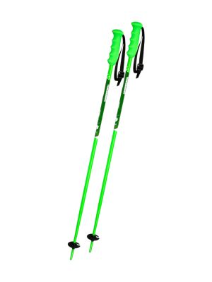 Skistöcke 