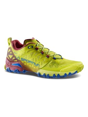 Bushido II GTX Herren Trailrunning Schuhe 