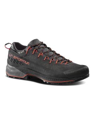 TX4 Evo GTX Leder Herren Zustieg Schuhe 