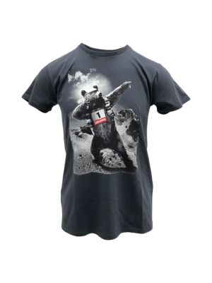 Teddy Ultra Trail Schladming Uni T-Shirt grau 