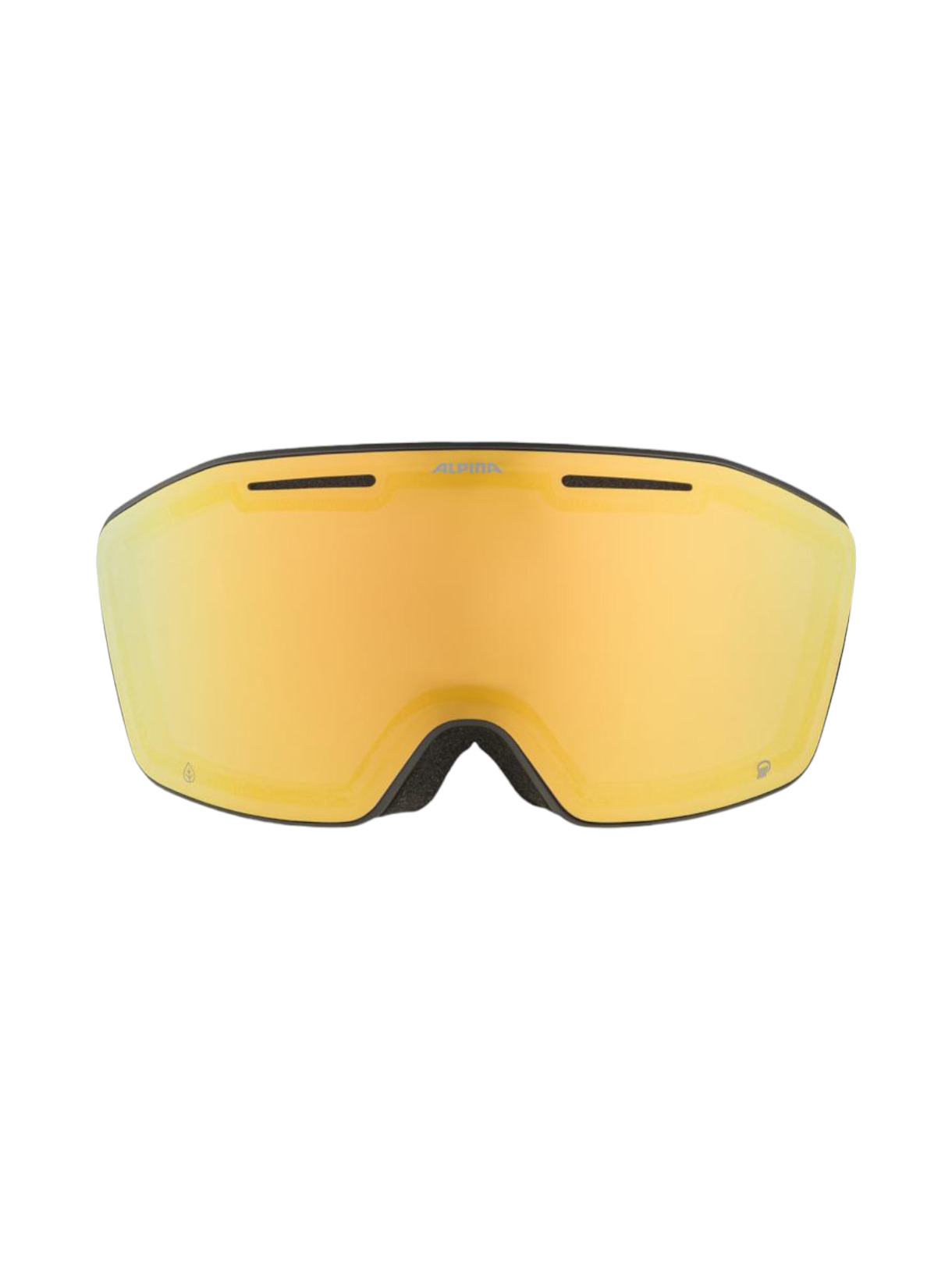 Nendaz Q Skibrille 2