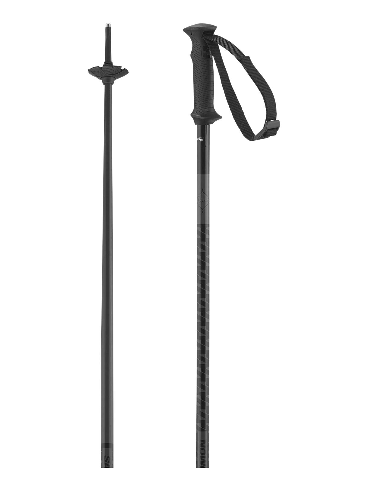 Polar Access Skistöcke 2