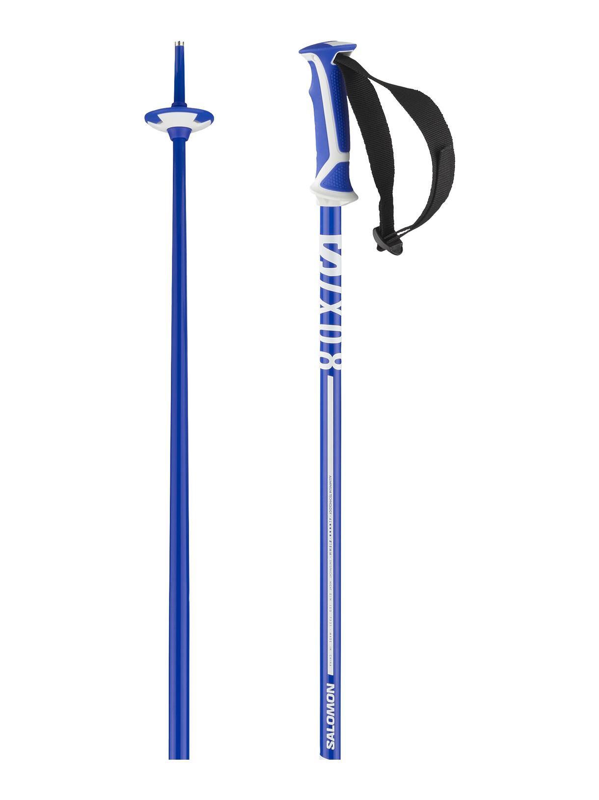 X 08 SKISTÖCKE 2