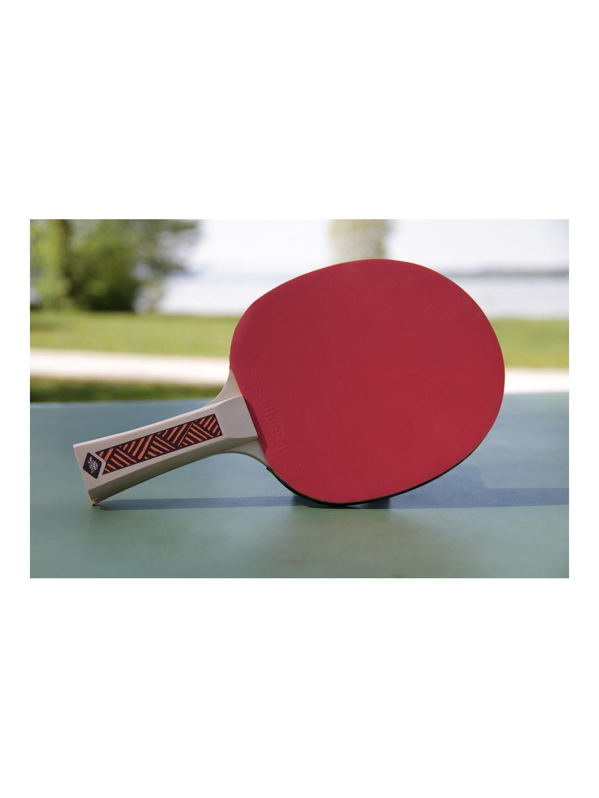 Champs Line 300 FSC Tischtennisschläger 2
