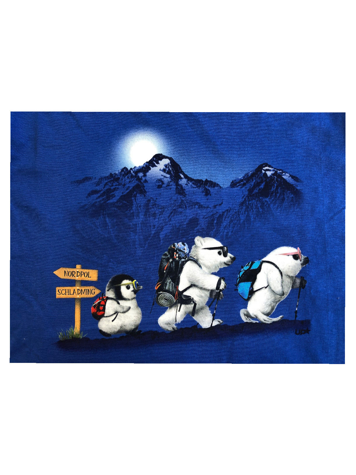 Schladming Polar Friends Trek Kinder T-Shirt blau 2