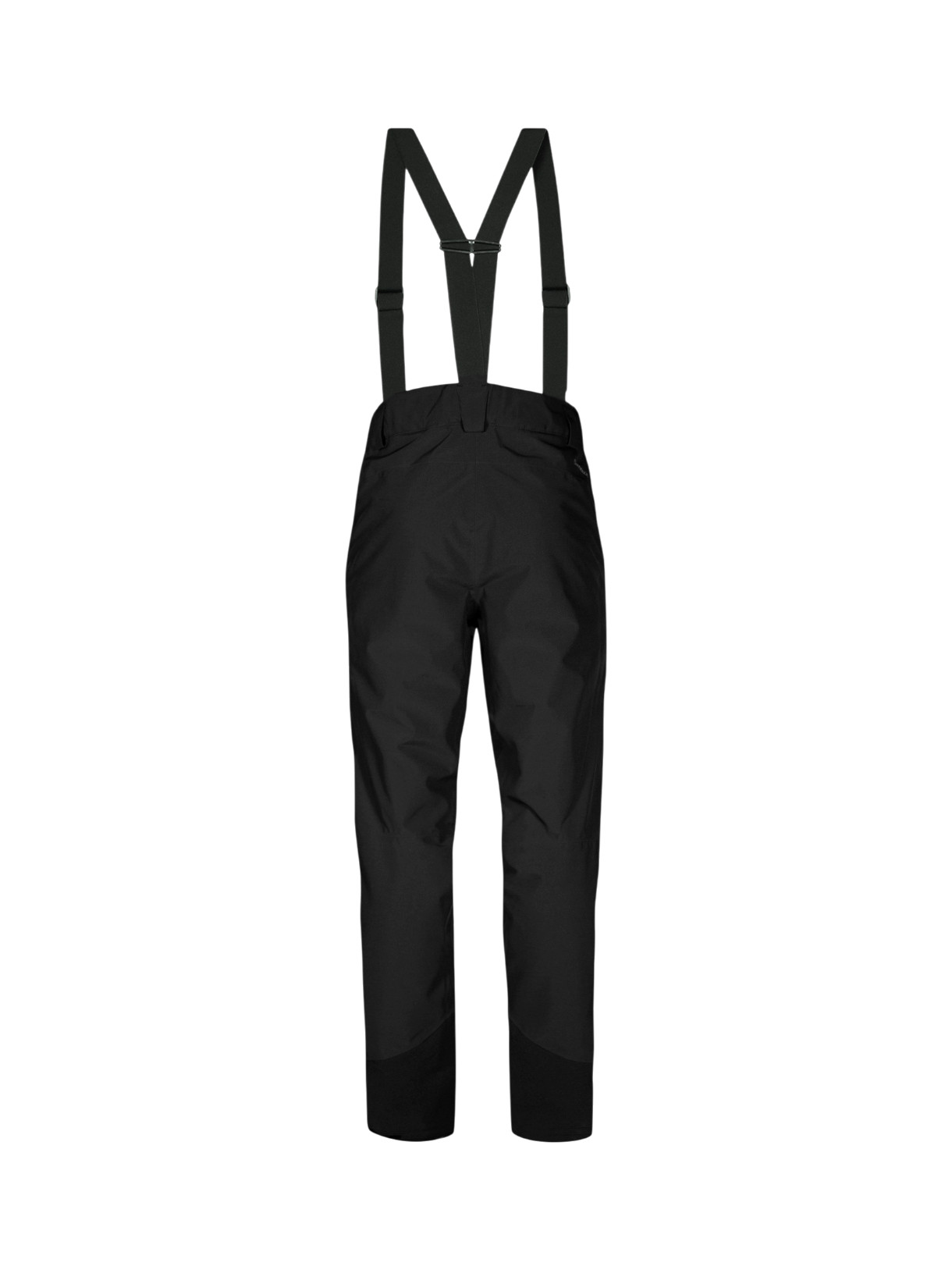 Carvey II M DX Herren Skihose 3