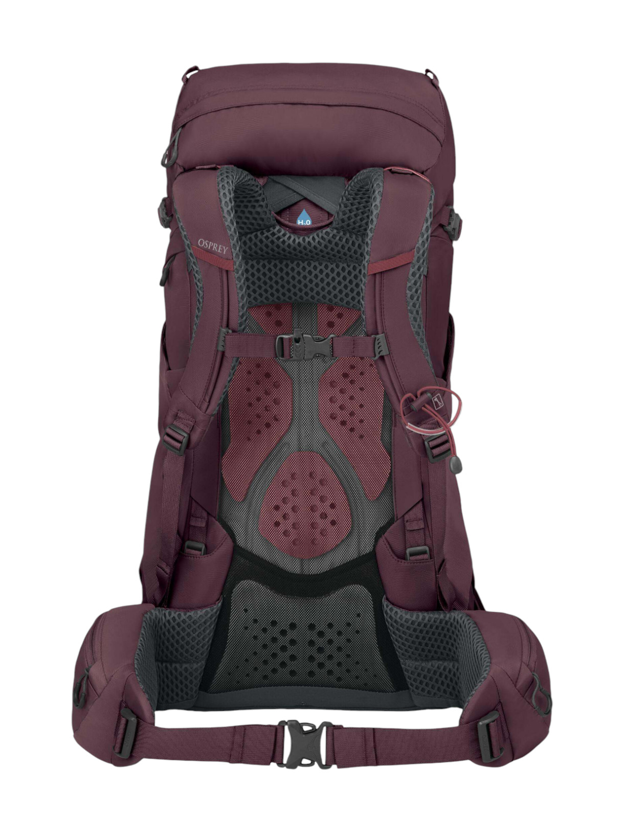 Kyte 38 Damen Trekking Rucksack 3