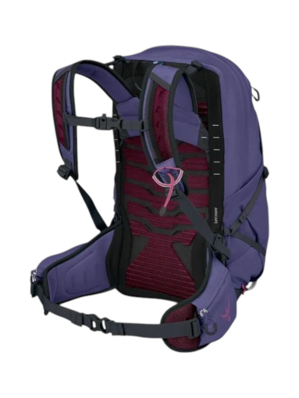 Tempest 22 Wander Rucksack 3