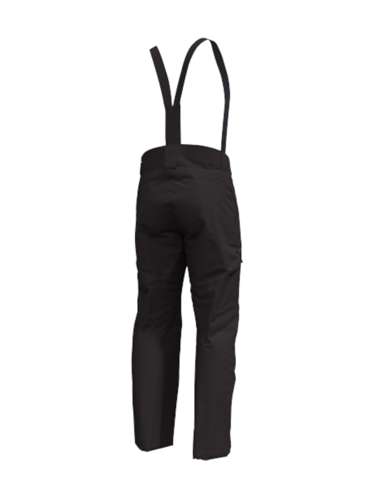 Carvey DrymaxX Herren Skihose 4